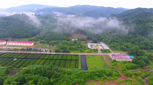 304am永利集团·(中国)有限公司官网