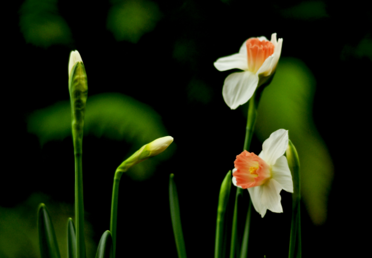各人都做生态文明建设的实践者、、推动者（生态论苑）