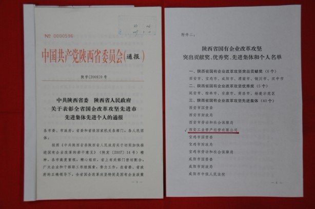 2009年2月，，被陕西省委、省政府授予陕西省国有企业刷新攻坚先进整体